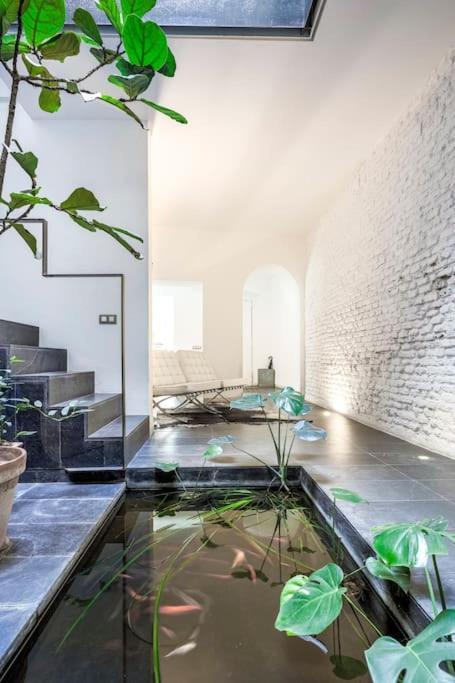 Exclusivo Apartamento De Diseno Centro Sevilla Matahacas Bajo Екстериор снимка