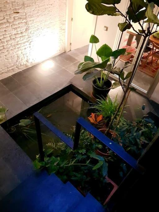 Exclusivo Apartamento De Diseno Centro Sevilla Matahacas Bajo Екстериор снимка